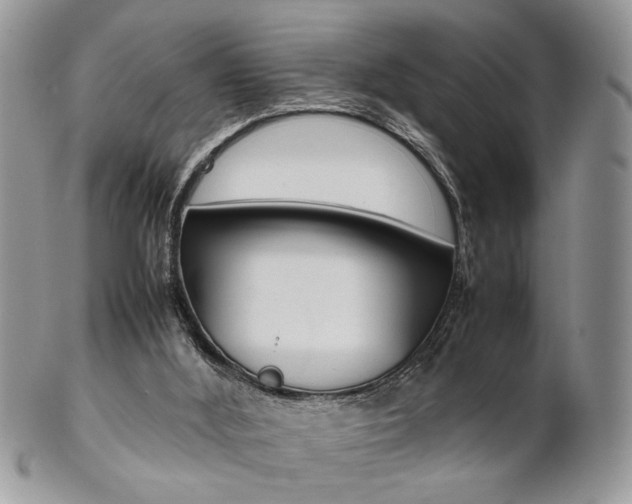 X0000102840012200808181035