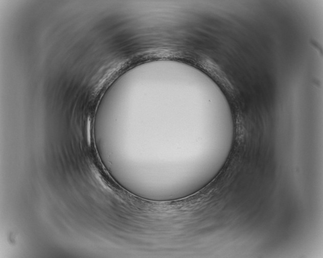 X0000102840014200808181035