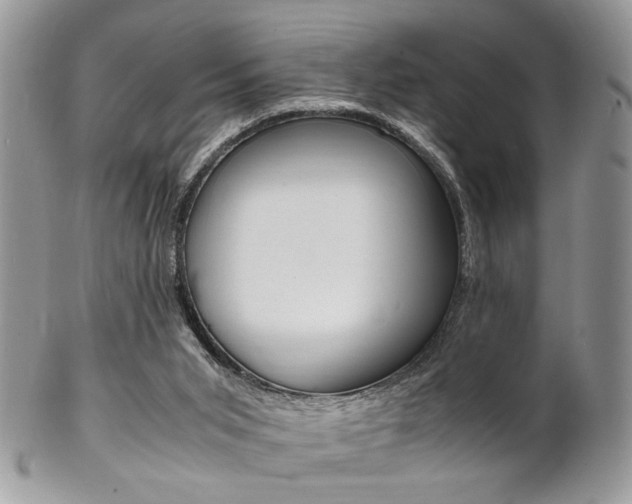 X0000102840015200808181035