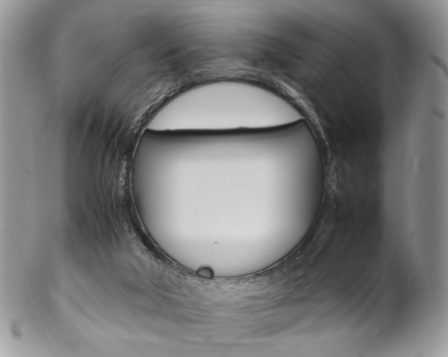 X0000102840018200808181035
