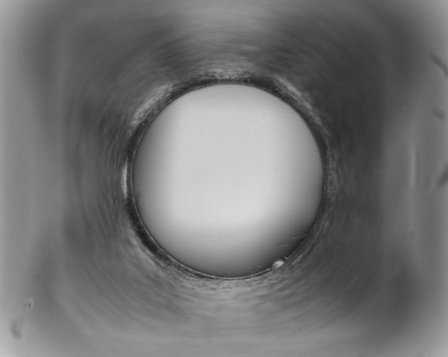 X0000102840019200808181035