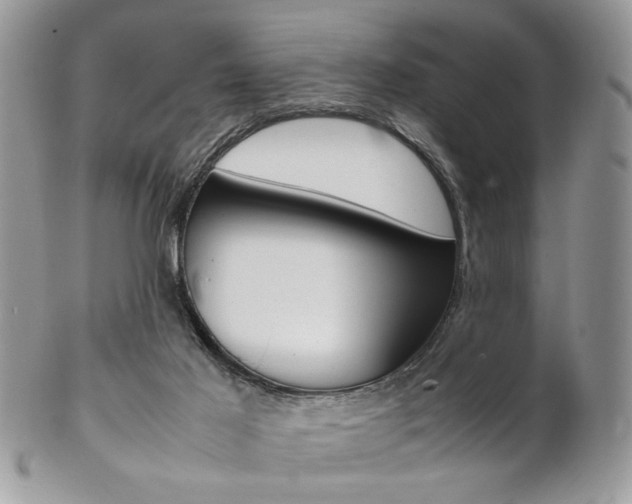 X0000102840021200808181035