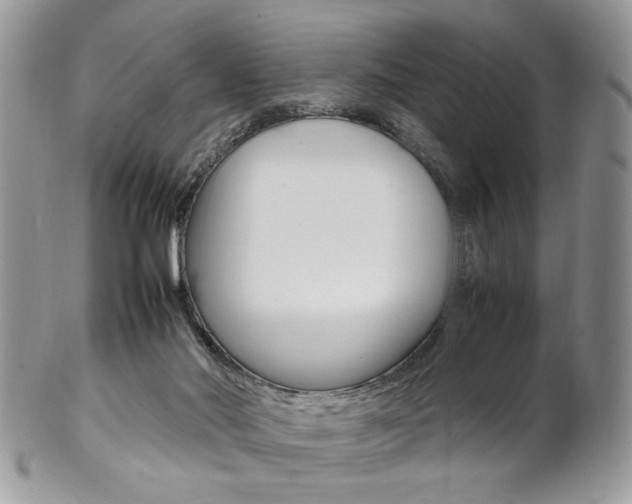 X0000102840022200808181035