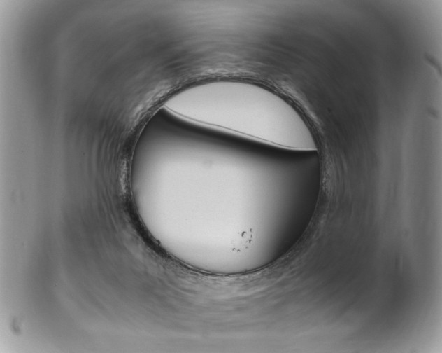 X0000102840023200808181035