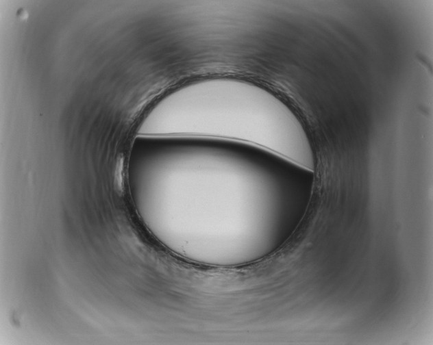 X0000102840024200808181035
