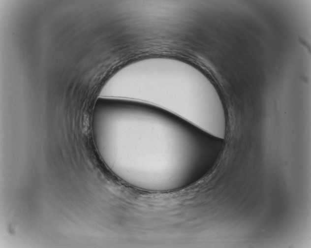 X0000102840025200808181035