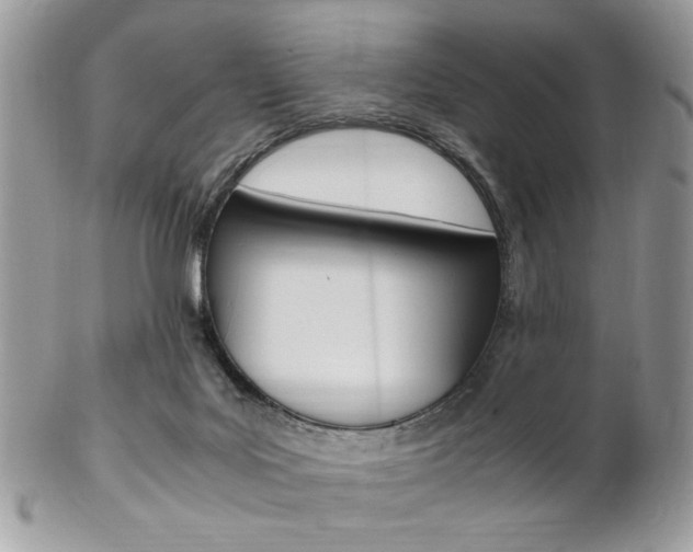 X0000102840027200808181035