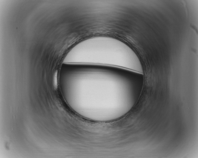 X0000102840028200808181035