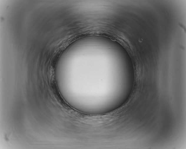 X0000102840029200808181035
