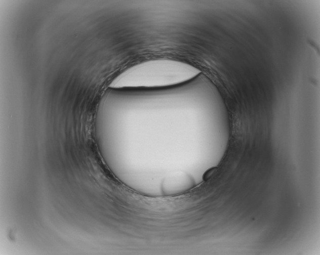 X0000102840030200808181035