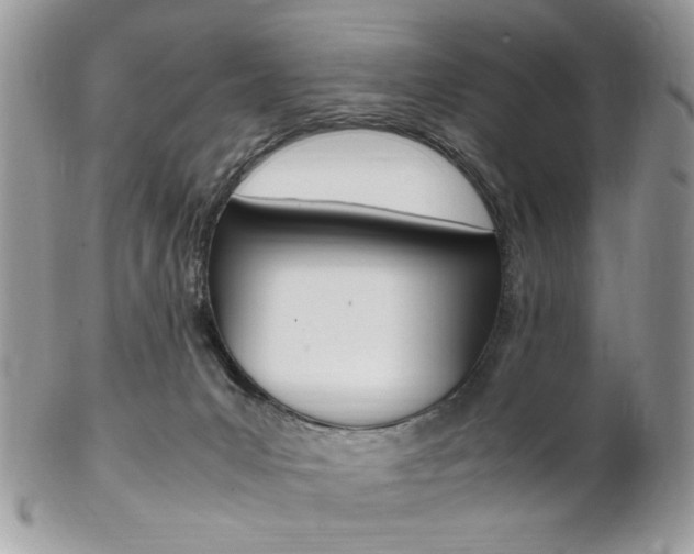 X0000102840031200808181035