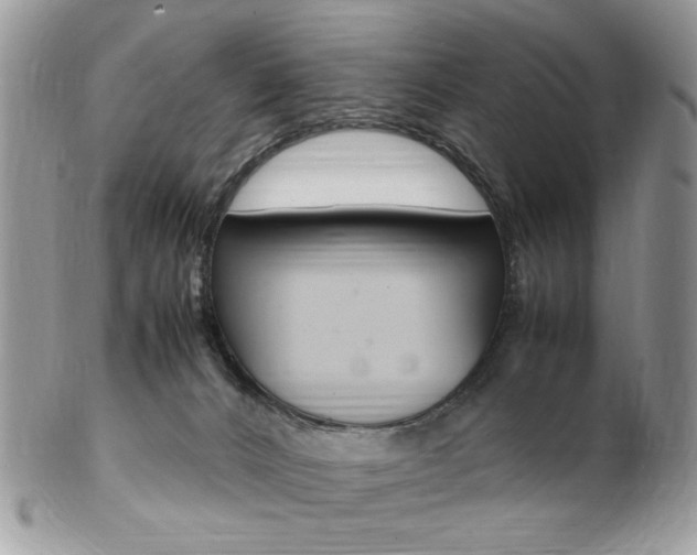 X0000102840032200808181035
