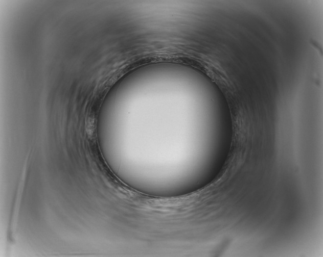 X0000102840033200808181035