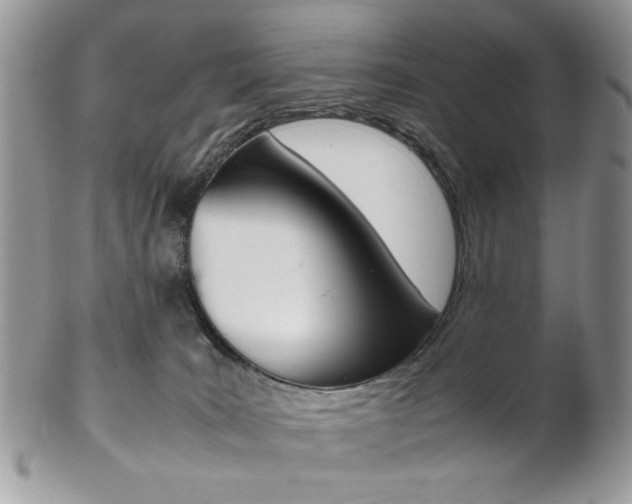 X0000102840035200808181035