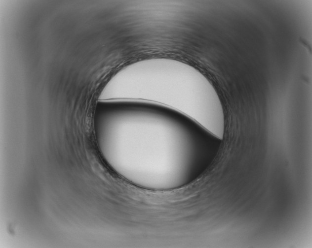 X0000102840039200808181035