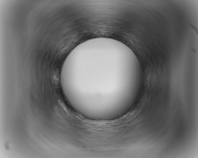 X0000102840040200808181035