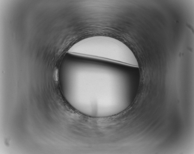 X0000102840041200808181035