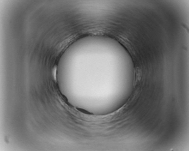 X0000102840047200808181035