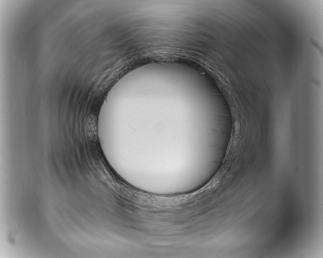 X0000102840048200808181035