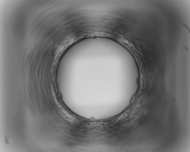 X0000102840049200808181034