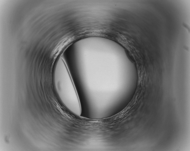 X0000102840050200808181034