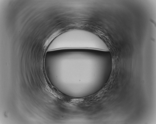 X0000102840051200808181034
