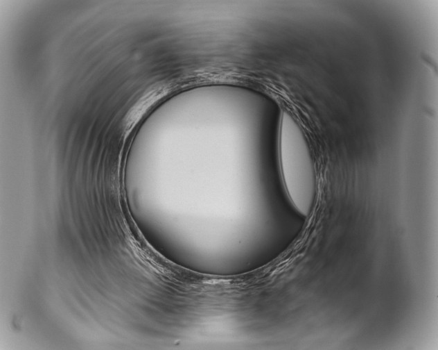 X0000102840052200808181034