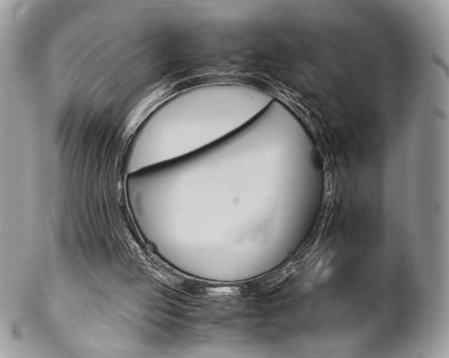 X0000102840053200808181034