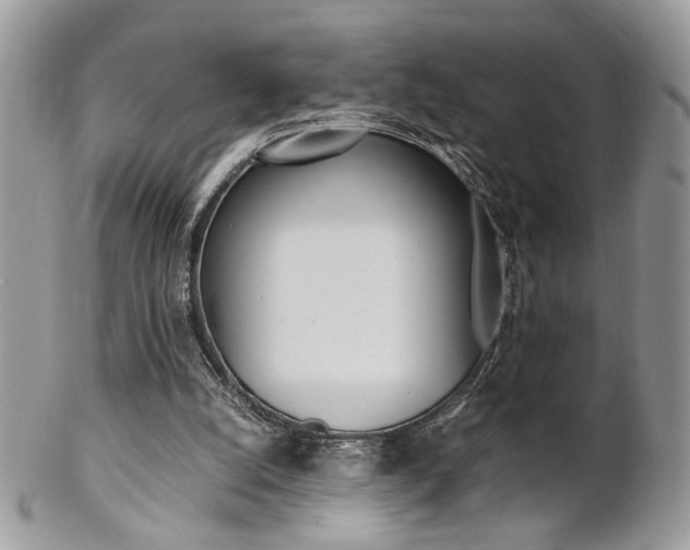 X0000102840056200808181034