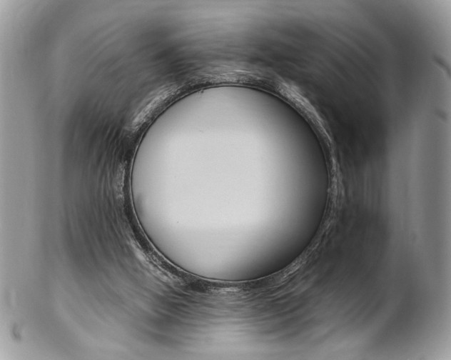 X0000102840058200808181034