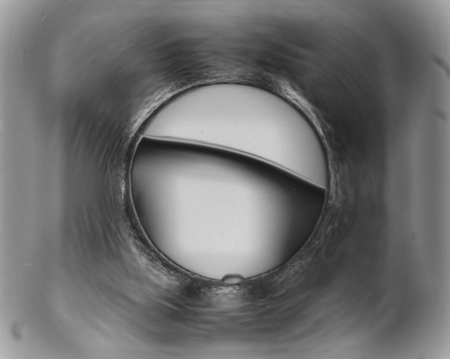 X0000102840059200808181034