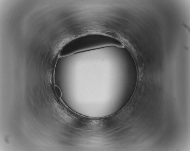 X0000102840060200808181034