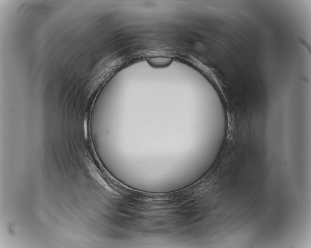 X0000102840061200808181034