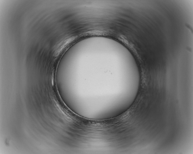 X0000102840062200808181034
