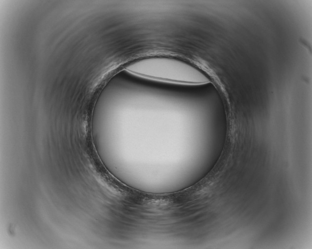 X0000102840063200808181034