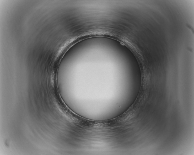 X0000102840064200808181034