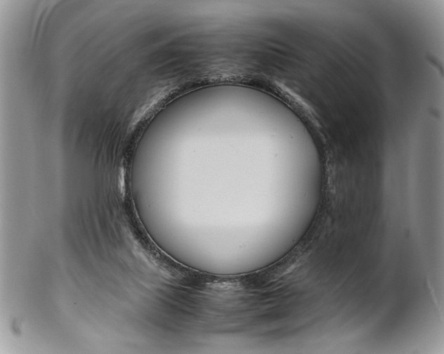X0000102840067200808181034