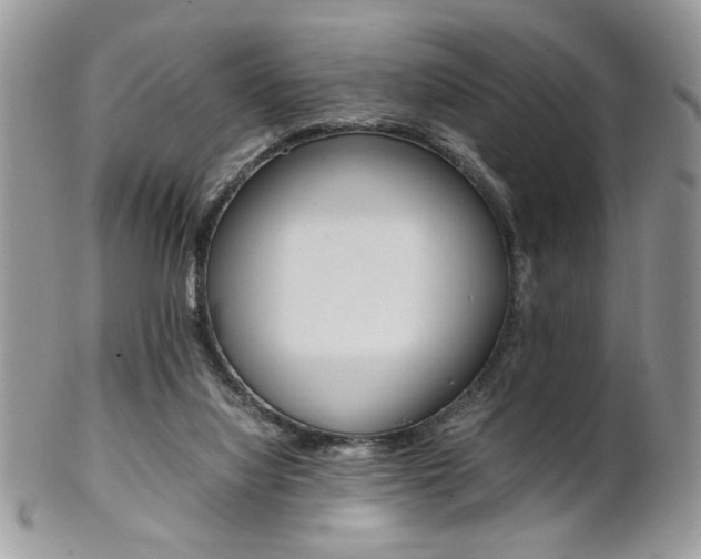 X0000102840068200808181034