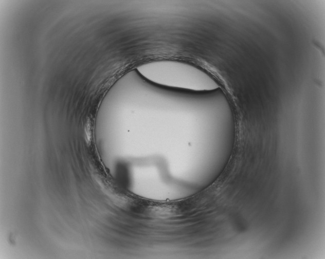 X0000102840069200808181034