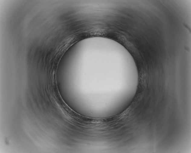 X0000102840070200808181034