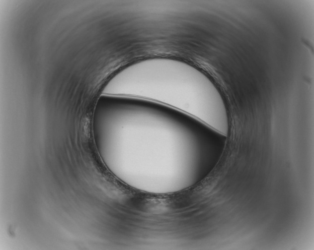 X0000102840071200808181034