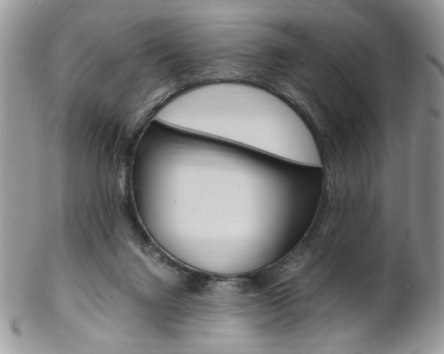 X0000102840072200808181034
