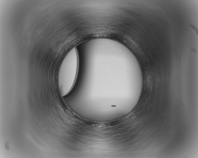 X0000102840074200808181034