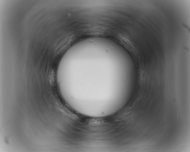 X0000102840077200808181034