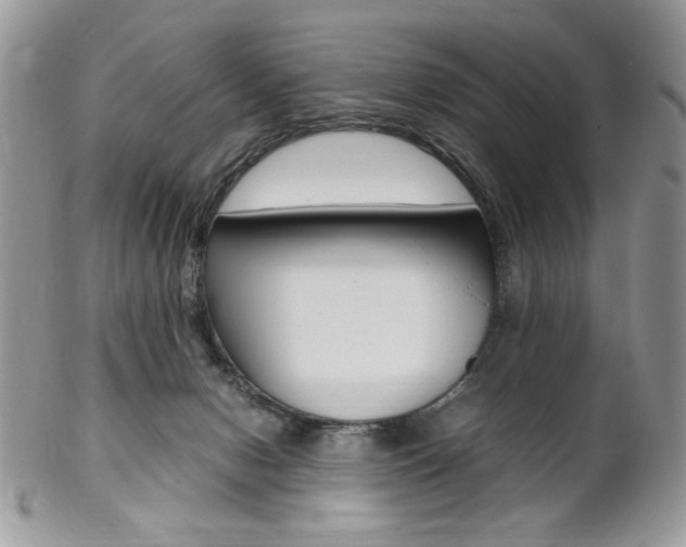 X0000102840078200808181034