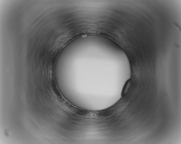 X0000102840080200808181034