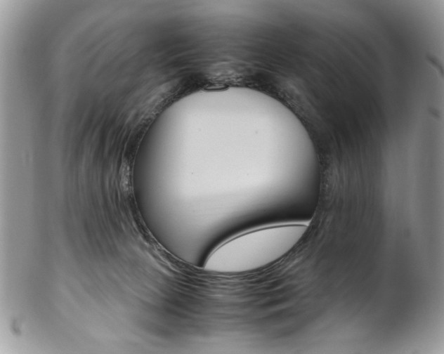 X0000102840081200808181034