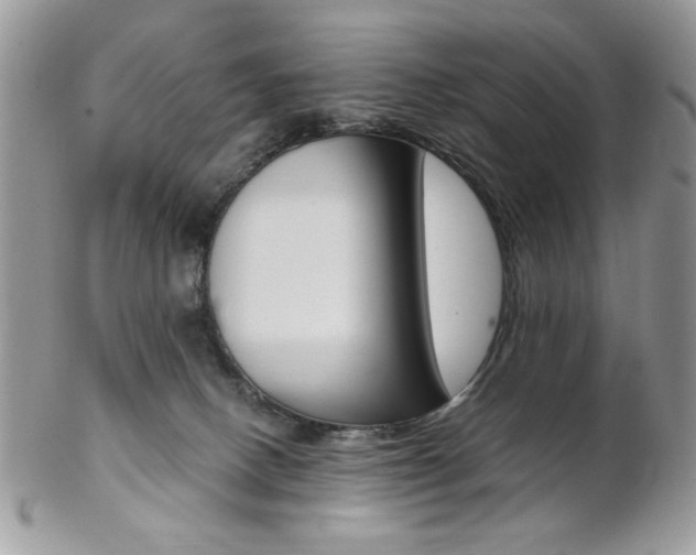 X0000102840082200808181034