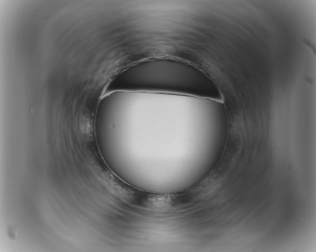 X0000102840084200808181034