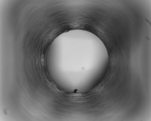 X0000102840085200808181034